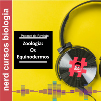 Revisão - Os Equinodermos