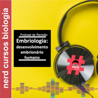 Revisão - O Desenvolvimento Embrionário Humano
