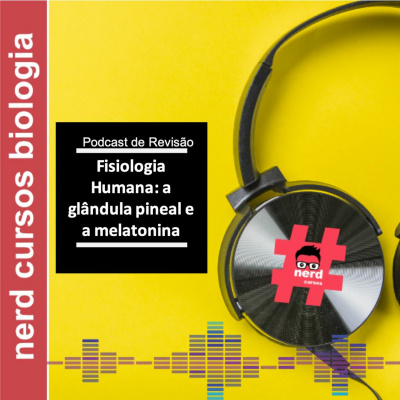 Podcast Nerd Cursos
