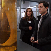 SVU: Whos the perv cutting off womens legs?