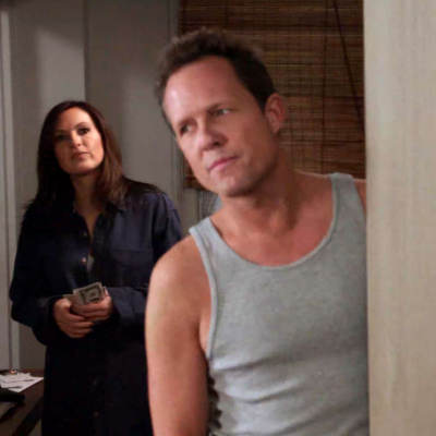 ...these Are Their Stories: The Law  Order Podcast