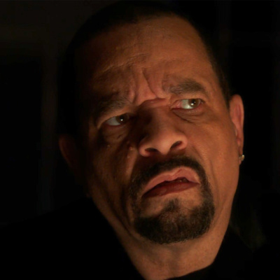 ...these Are Their Stories: The Law  Order Podcast