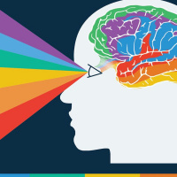 HOW TO SEE THE MATRIX