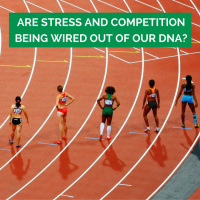 39: Is Stress and Competition Being Wired Out of Our DNA?
