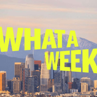 What a Weekday: Cat Ladies, Crypto, and Court Reform