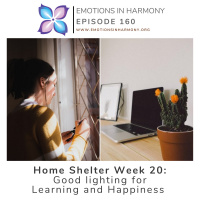 Home Shelter Week 20: Good lighting for Learning and Happiness