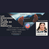 Las emociones de la madre en estado perinatal