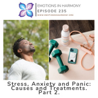 Stress, Anxiety and Panic: Causes and Treatments. Part 2.