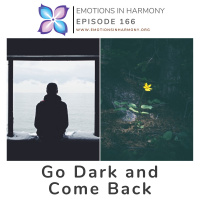 Go Dark and Come Back