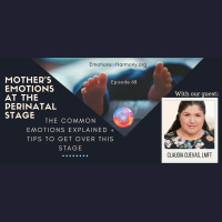 Mother’s emotions at the perinatal stage