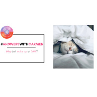 Why do I wake up at 3AM?