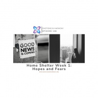 Home Shelter Week 1: Hopes and Fears