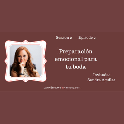 Emotions In Harmony With Dr Carmen Roman Conversations To Help You Achieve Emotional Success Conversaciones Para Ayud