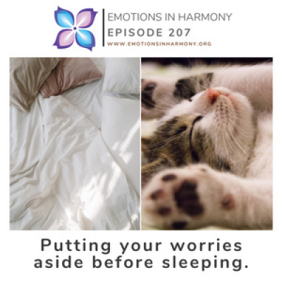 Emotions In Harmony With Dr Carmen Roman Conversations To Help You Achieve Emotional Success Conversaciones Para Ayud