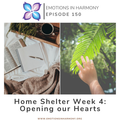 Emotions In Harmony With Dr Carmen Roman Conversations To Help You Achieve Emotional Success Conversaciones Para Ayud