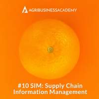 #10 SIM: Supply Chain Information Management