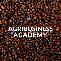 #19 Cocoa Value Chains with Yemi Lawal