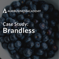 #13 Case Study: Brandless