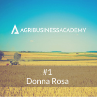 #1: Donna Rosa on Creating Profitable Startups in Developing Countries