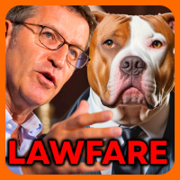 Guerra judicial - Ampliando el Debate