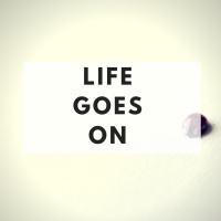 The Minimalists Diary 68: Life Goes On