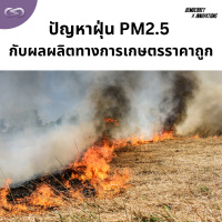 Democracy X Innovations 174: ปัญหาฝุ่น PM2.5 กับผลผลิตทางการเกษตรราคาถูก