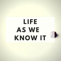 The Minimalists Diary 74: Life as We Know It