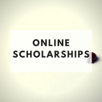 The Minimalists Diary 107: Online Scholarships