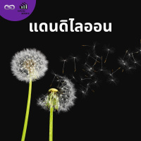 Infinity Books 140: แดนดิไลออน