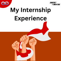 Democracy X Innovations 155: My Internship Experience