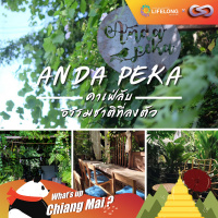Whats up Chiang Mai? 70: ANDA PEKA คาเฟ่ลับ amp ธรรมชาติที่ลงตัว