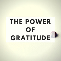 The Minimalists Dairy 75: The Power of Gratitude