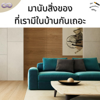 The Minimalists Diary 158: นับสิ่งของที่เรามีในบ้านทุกชิ้น