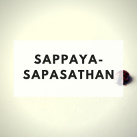The Minimalists Diary 113: Sappaya - Sapasathan
