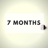 The Minimalists Diary 82: 7 Months