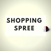 The Minimalists Diary 100: Shopping Spree