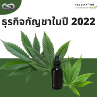 StartYup 133: ธุรกิจกัญชาในปี 2022