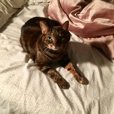 Shaun Benson, Chatting Between Takes