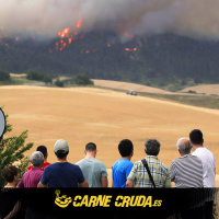 La España calcinada: causas de la nueva ola de incendios (CARNE CRUDA #1077)