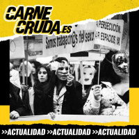 Prostitución: qué hacer con el trabajo sexual (CARNE CRUDA #1374)