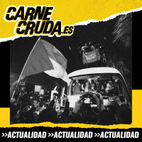 Gaza: cesa el fuego, no a la ocupación (CARNE CRUDA #1452)