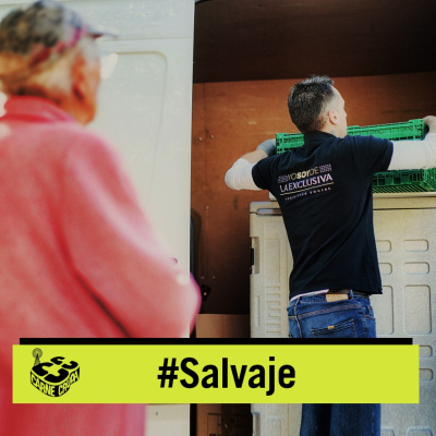 Carnecruda.es Programas