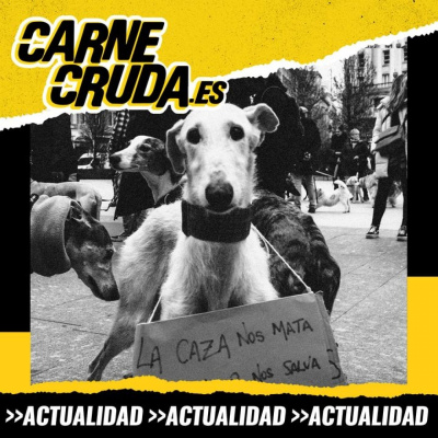 Carnecruda.es Programas