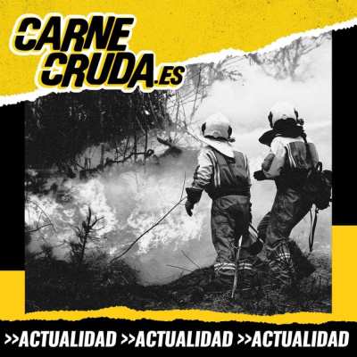 Carnecruda.es Programas