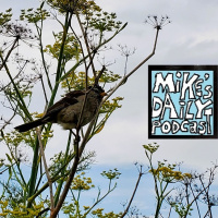 MikesDailyPodcast 2868 Sequels