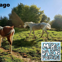 MikesDailyPodcast 2796 Gadget