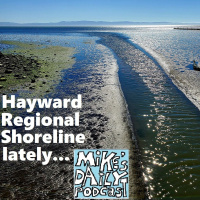 MikesDailyPodcast 3147 Shortening