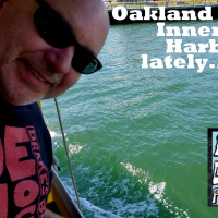 MikesDailyPodcast 3149 Longevity