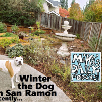 MikesDailyPodcast 2957 Search