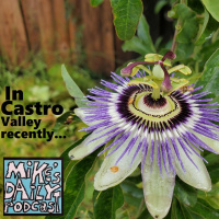 MikesDailyPodcast 3076 Sum